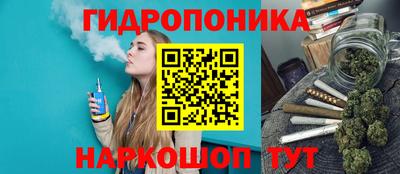 бошки Балахна