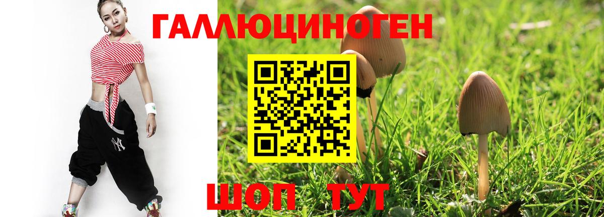 Дзержинск  Псилоцибиновые грибы Psilocybine cubensis  Вход с VPN 