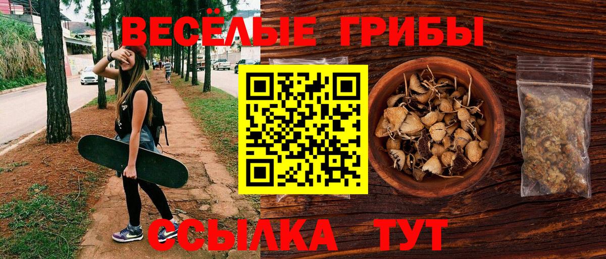 Псилоцибиновые грибы прущие грибы Дзержинск